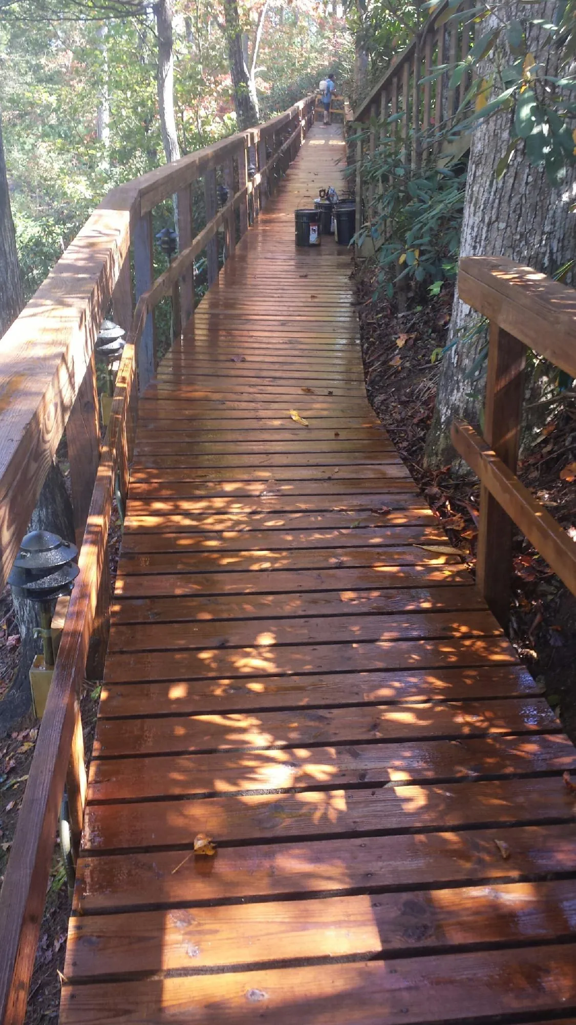 Freshly stained wood walkway winding through the woods in Chester